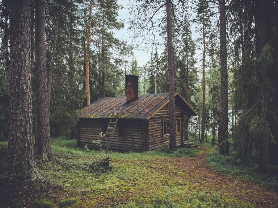 Cabin in the woods